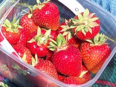 New Covent Garden Market in London