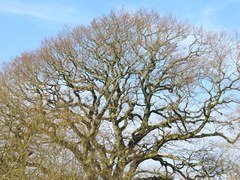 Forty Hall and Estate in London