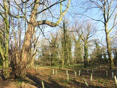 Grangewood Park in London