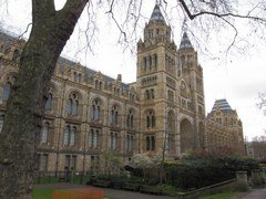 Natural History Museum in London